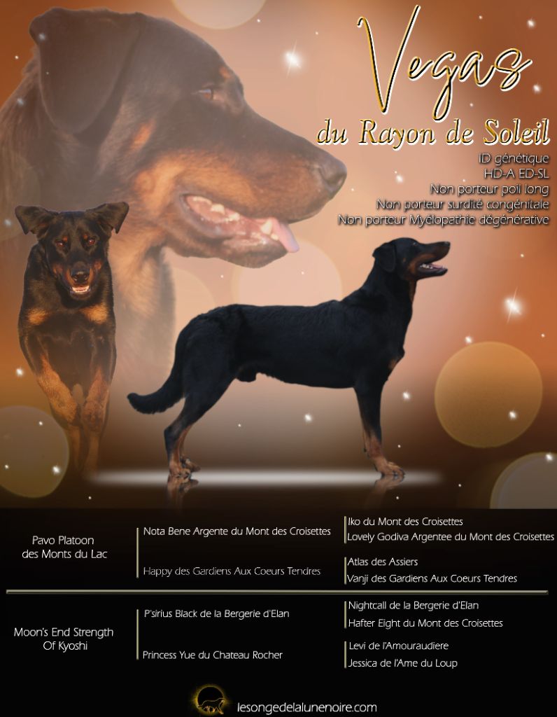 Vegas du rayon de soleil