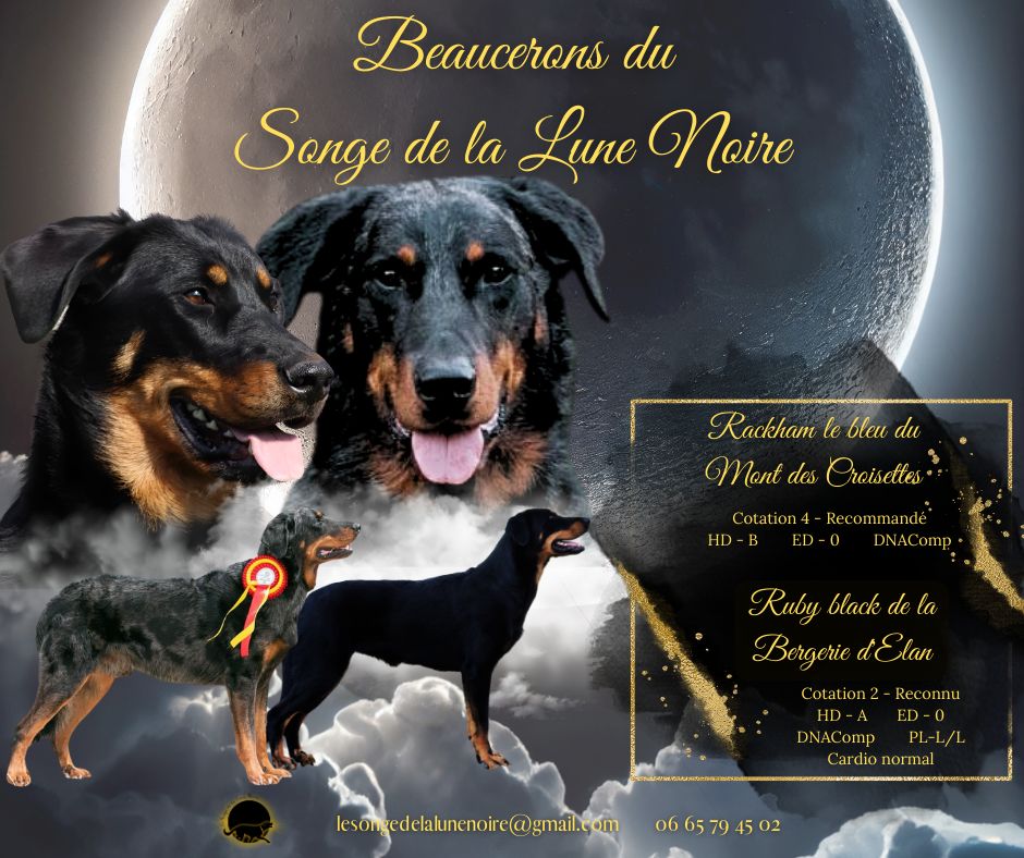 Du Songe De La Lune Noire - Naissances prévue bientôt